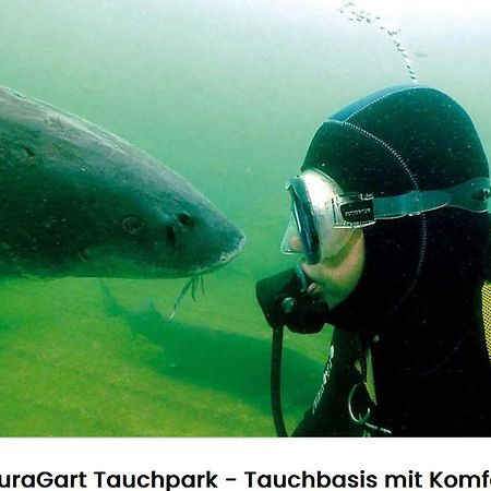Alte Seester Schule Westerkappeln エクステリア 写真